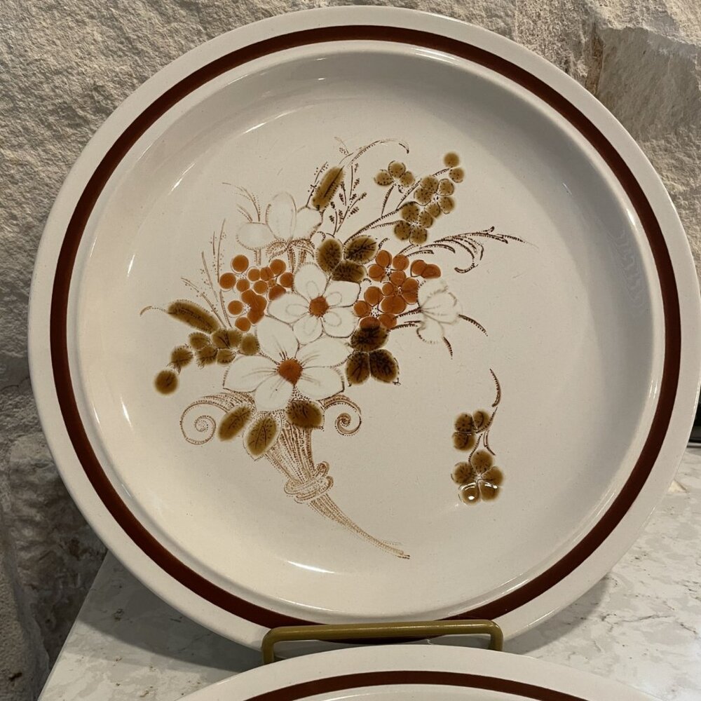 Vintage Stoneware Plate Set